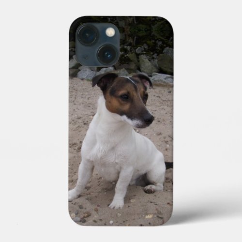 Capo von Oppenheim Jack Russell Terrier Dog iPhone 13 Mini Case