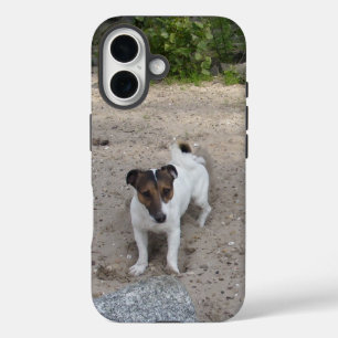 Capo von Oppenheim Jack Russell Terrier, Dog iPhone 16 Case