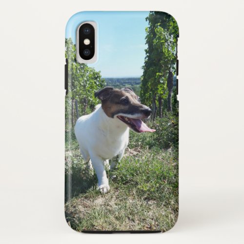 Capo von Oppenheim Jack Russell Terrier Dog iPhone XS Case