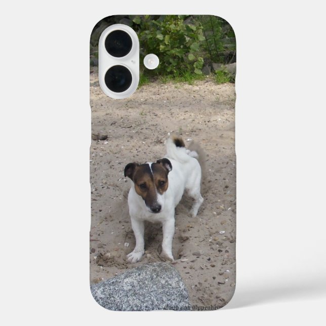 Capo von Oppenheim Jack Russell Terrier, Dog Case-Mate iPhone Case (Back)