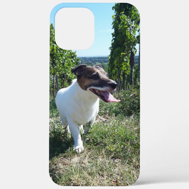 Capo von Oppenheim Jack Russell Terrier, Dog Case-Mate iPhone Case (Back)