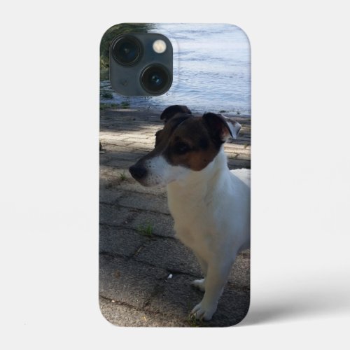Capo von Oppenheim Jack Russell Terrier Dog iPhone 13 Mini Case