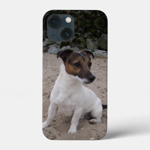 Capo von Oppenheim Jack Russell Terrier Dog iPhone 13 Mini Case