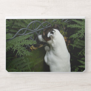 Capo von Oppenheim Jack Russell Terrier, Dog HP Laptop Skin