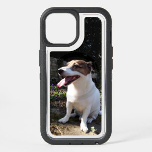 Capo von Oppenheim Jack Russell Terrier, Dog iPhone 15 Case