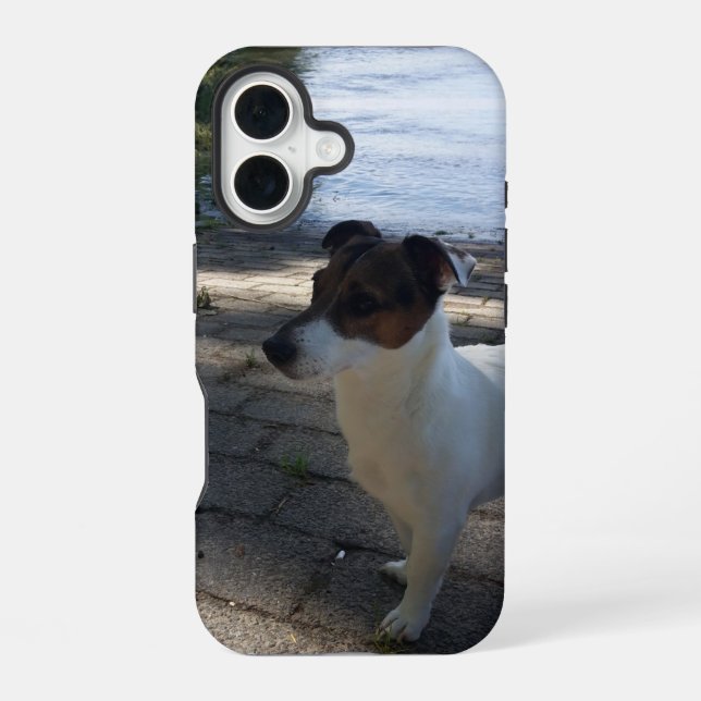 Capo von Oppenheim, Jack Russell Terrier Dog iPhone Case (Back)