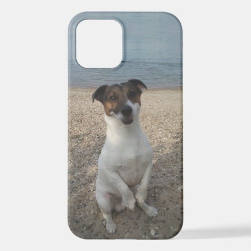 Capo von Oppenheim Jack Russell Terrier Dog iPhone 12 Case