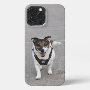 Capo von Oppenheim, Jack Russell Terrier Dog iPhone 13 Pro Max Case