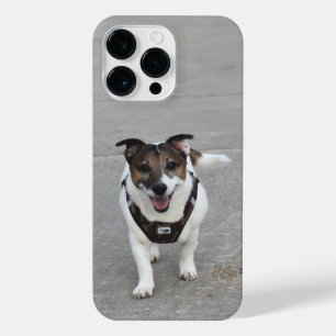 Capo von Oppenheim, Jack Russell Terrier Dog iPhone 14 Pro Max Case