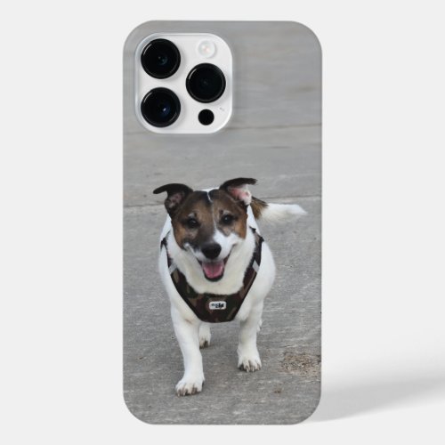 Capo von Oppenheim Jack Russell Terrier Dog iPhone 14 Pro Max Case
