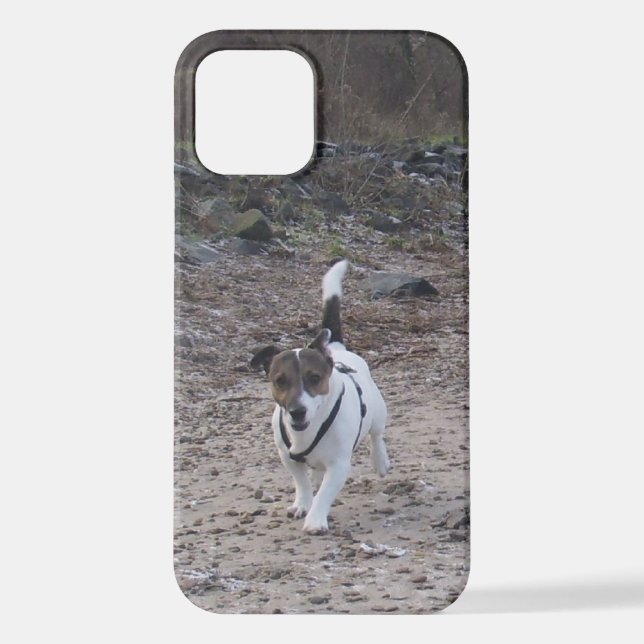 Capo von Oppenheim, Jack Russell Terrier Dog iPhone Case (Back)