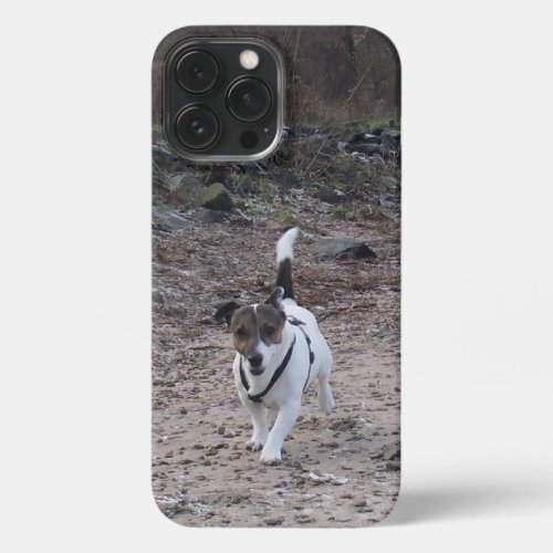 Capo von Oppenheim Jack Russell Terrier Dog iPhone 13 Pro Max Case