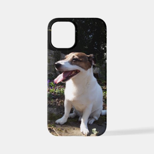 Capo von Oppenheim Jack Russell Terrier Dog iPhone 12 Mini Case