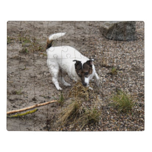 Capo von Oppenheim, Jack Russell Terrier Dog Jigsaw Puzzle