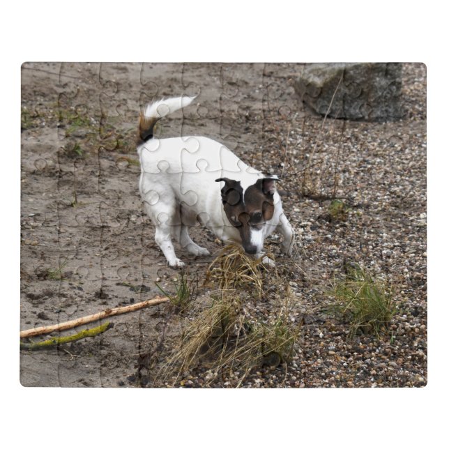 Capo von Oppenheim, Jack Russell Terrier Dog Jigsaw Puzzle (Puzzle Horizontal)