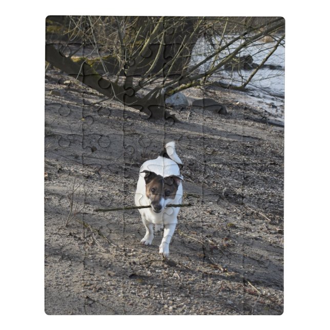 Capo von Oppenheim, Jack Russell Terrier Dog Jigsaw Puzzle (Puzzle Vertical)
