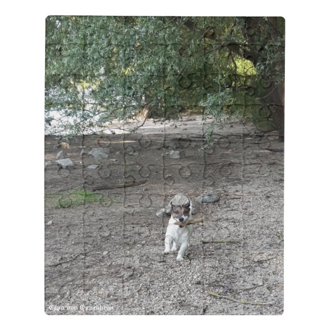 Capo von Oppenheim Jack Russell Terrier, Dog Jigsaw Puzzle (Puzzle Vertical)
