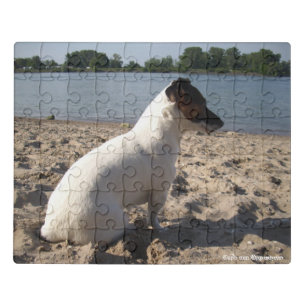 Capo von Oppenheim Jack Russell Terrier, Dog Jigsaw Puzzle