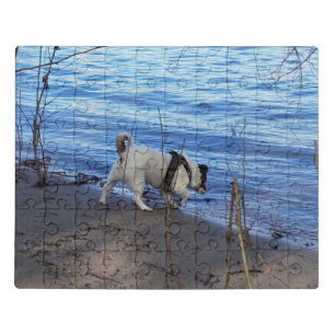 Capo von Oppenheim, Jack Russell Terrier Dog Jigsaw Puzzle