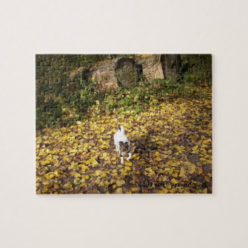 Capo von Oppenheim Jack Russell Terrier Dog Jigsaw Puzzle