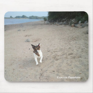 Capo von Oppenheim Jack Russell Terrier, Dog Mouse Pad