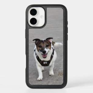 Capo von Oppenheim, Jack Russell Terrier Dog iPhone 16 Plus Case