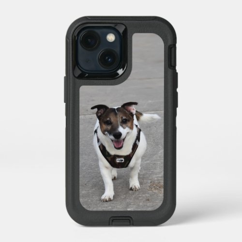 Capo von Oppenheim Jack Russell Terrier Dog iPhone 13 Mini Case