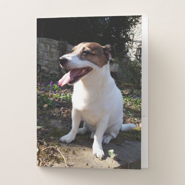 Capo von Oppenheim Jack Russell Terrier, Dog Pocket Folder (Front)
