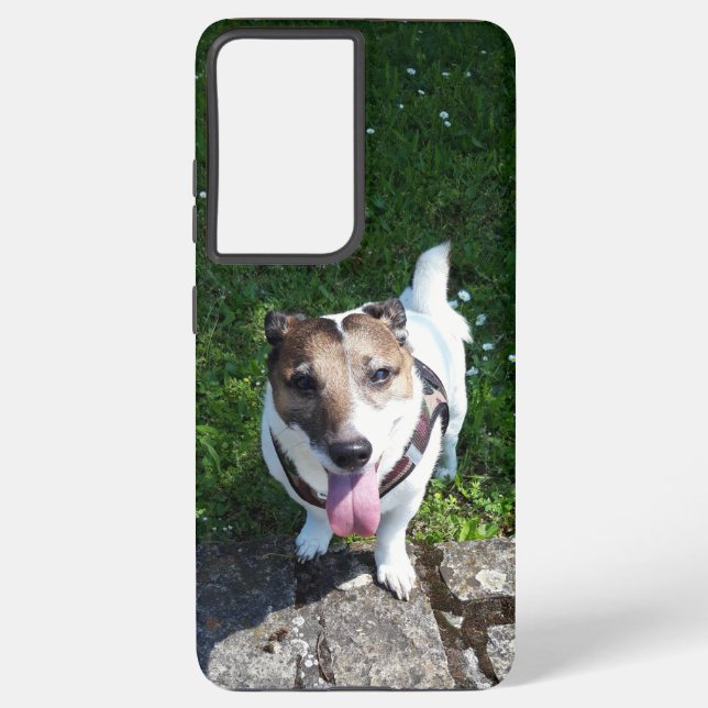 Capo von Oppenheim, Jack Russell Terrier Dog Samsung Galaxy Case (Back)