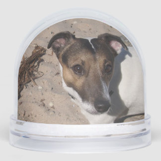 Capo von Oppenheim, Jack Russell Terrier Dog Snow Globe