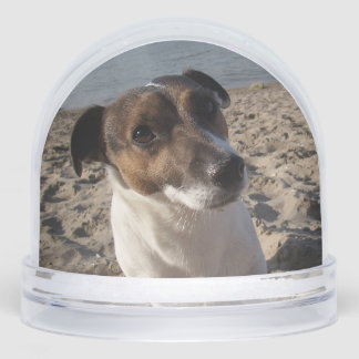 Capo von Oppenheim, Jack Russell Terrier Dog Snow Globe