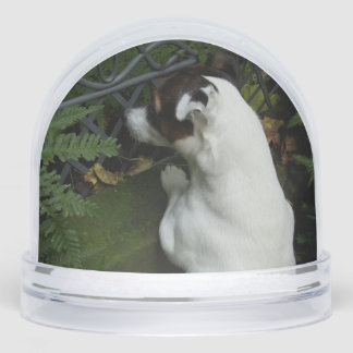 Capo von Oppenheim, Jack Russell Terrier Dog Snow Globe
