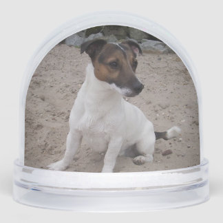 Capo von Oppenheim, Jack Russell Terrier Dog Snow Globe