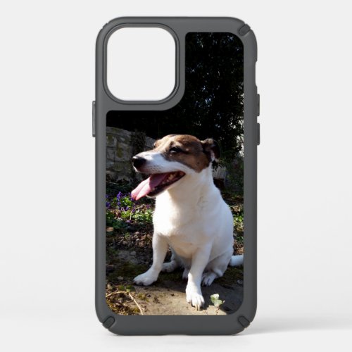 Capo von Oppenheim Jack Russell Terrier Dog Speck iPhone 12 Case