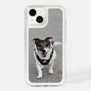 Capo von Oppenheim, Jack Russell Terrier Dog Speck iPhone 14 Case