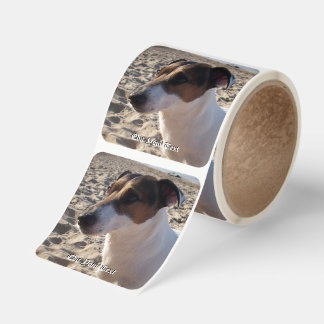 Capo von Oppenheim Jack Russell Terrier, Dog Square Sticker