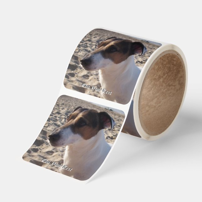 Capo von Oppenheim Jack Russell Terrier, Dog Square Sticker (Roll)