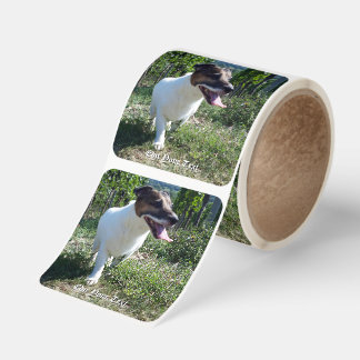 Capo von Oppenheim Jack Russell Terrier, Dog Square Sticker