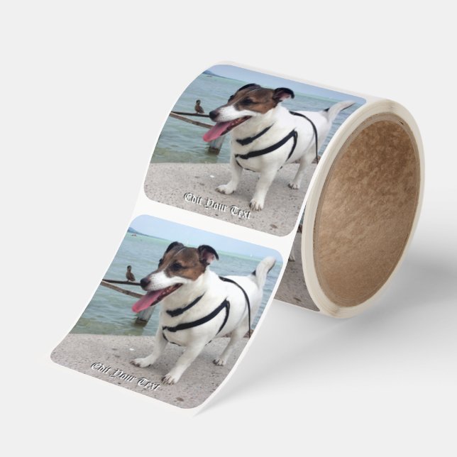 Capo von Oppenheim Jack Russell Terrier, Dog Square Sticker (Roll)