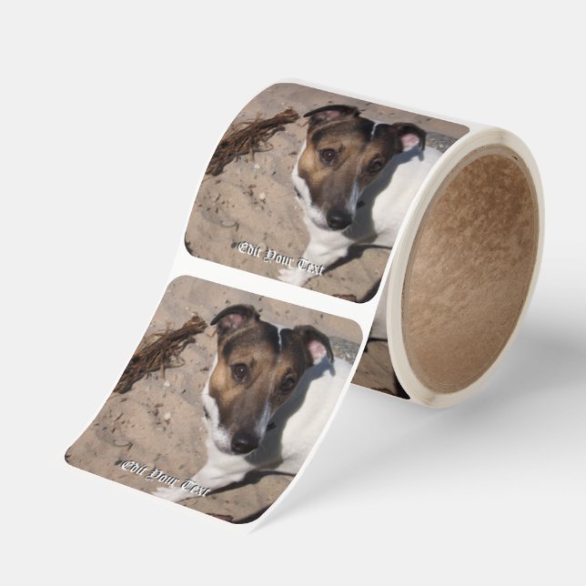 Capo von Oppenheim Jack Russell Terrier, Dog Square Sticker (Roll)
