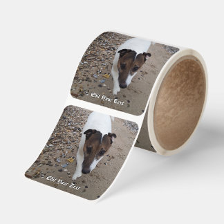 Capo von Oppenheim Jack Russell Terrier, Dog Square Sticker