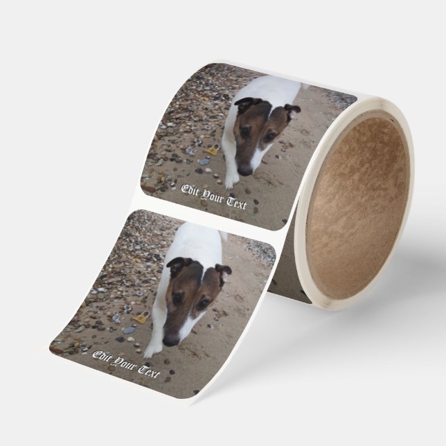 Capo von Oppenheim Jack Russell Terrier, Dog Square Sticker (Roll)