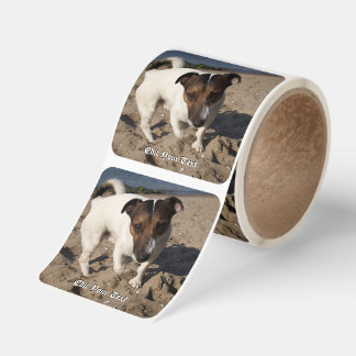 Capo von Oppenheim Jack Russell Terrier, Dog Square Sticker