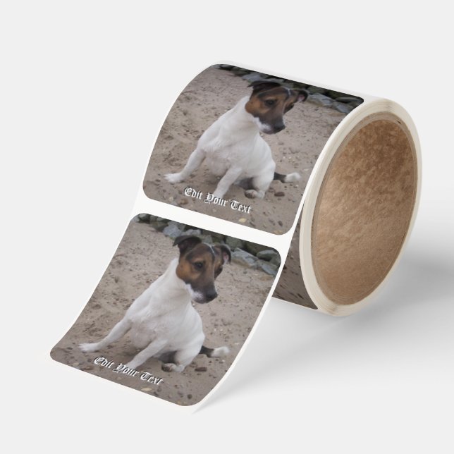Capo von Oppenheim Jack Russell Terrier, Dog Square Sticker (Roll)