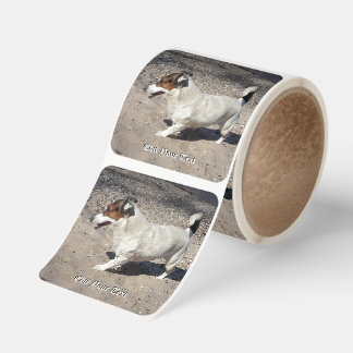 Capo von Oppenheim Jack Russell Terrier, Dog Square Sticker
