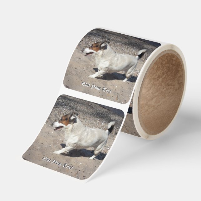 Capo von Oppenheim Jack Russell Terrier, Dog Square Sticker (Roll)
