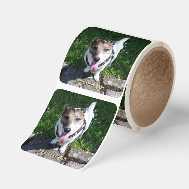 Capo von Oppenheim Jack Russell Terrier, Dog Square Sticker (Roll)