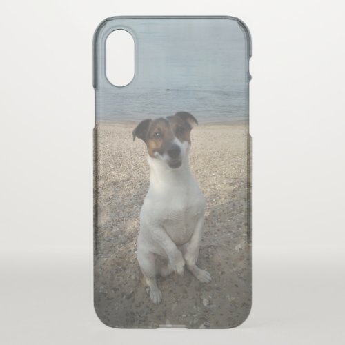 Capo von Oppenheim Jack Russell Terrier Dog iPhone X Case