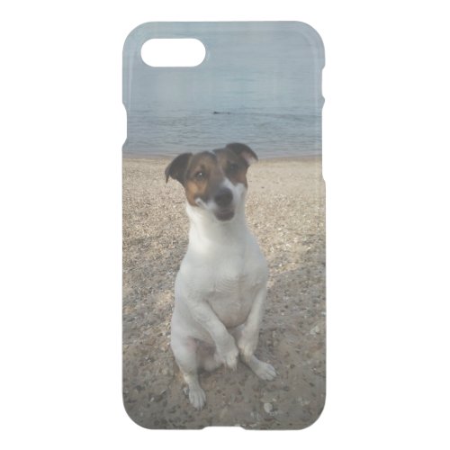 Capo von Oppenheim Jack Russell Terrier Dog iPhone SE87 Case