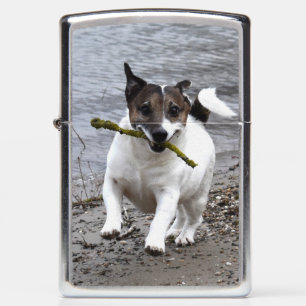 Capo von Oppenheim, Jack Russell Terrier Dog Zippo Lighter